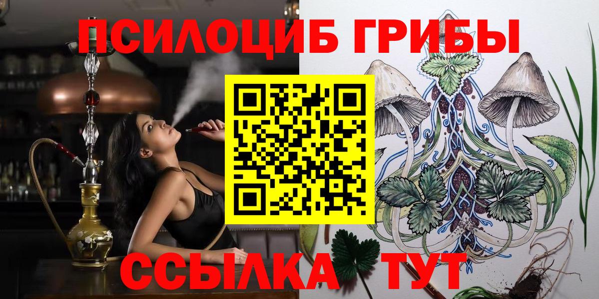 Псилоцибиновые грибы прущие грибы  Галлюциногенные грибы Cubensis  Грязи  Вход с VPN 