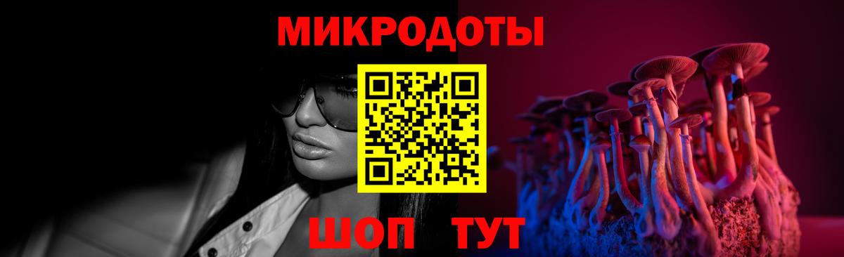Псилоцибиновые грибы Psilocybe Грязи